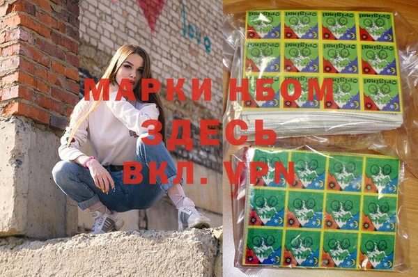 хмурый Абаза