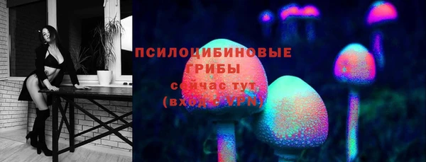 хмурый Абаза