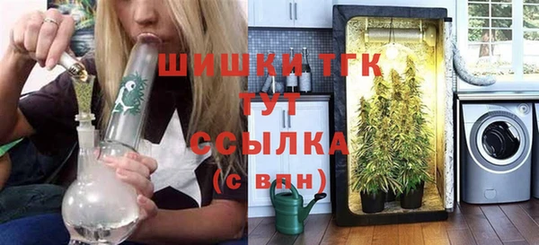 хмурый Абаза