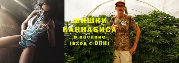 хмурый Абаза