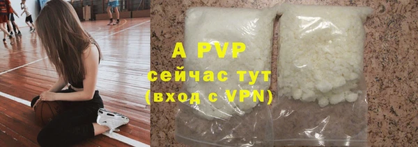 хмурый Абаза
