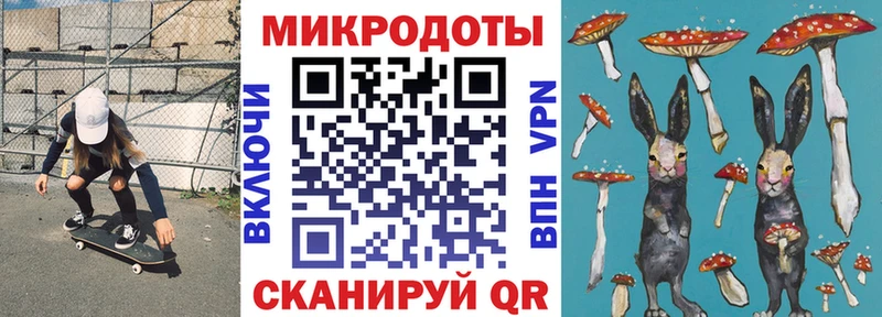 Галлюциногенные грибы Psilocybe Лосино-Петровский