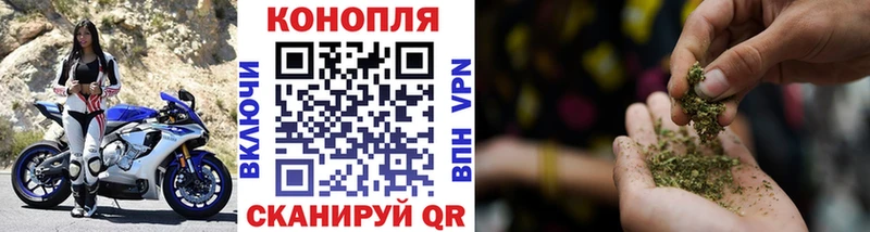 Бошки Шишки план  Лосино-Петровский 